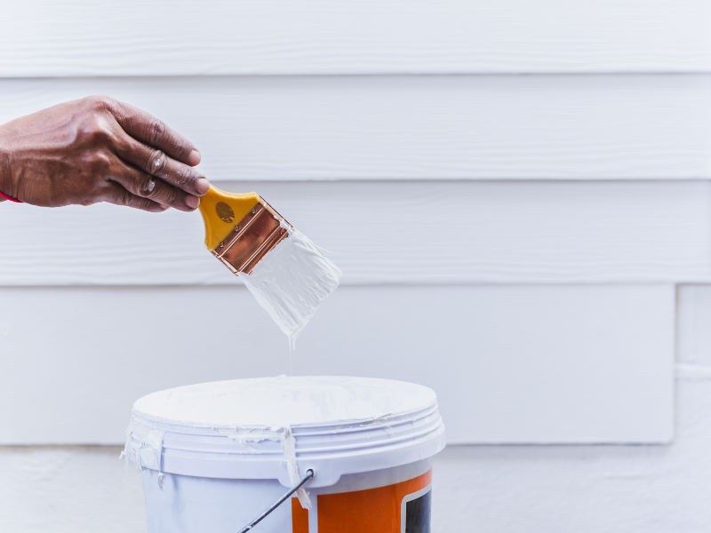 Top Paint Coatings for Moisture-Prone Areas
